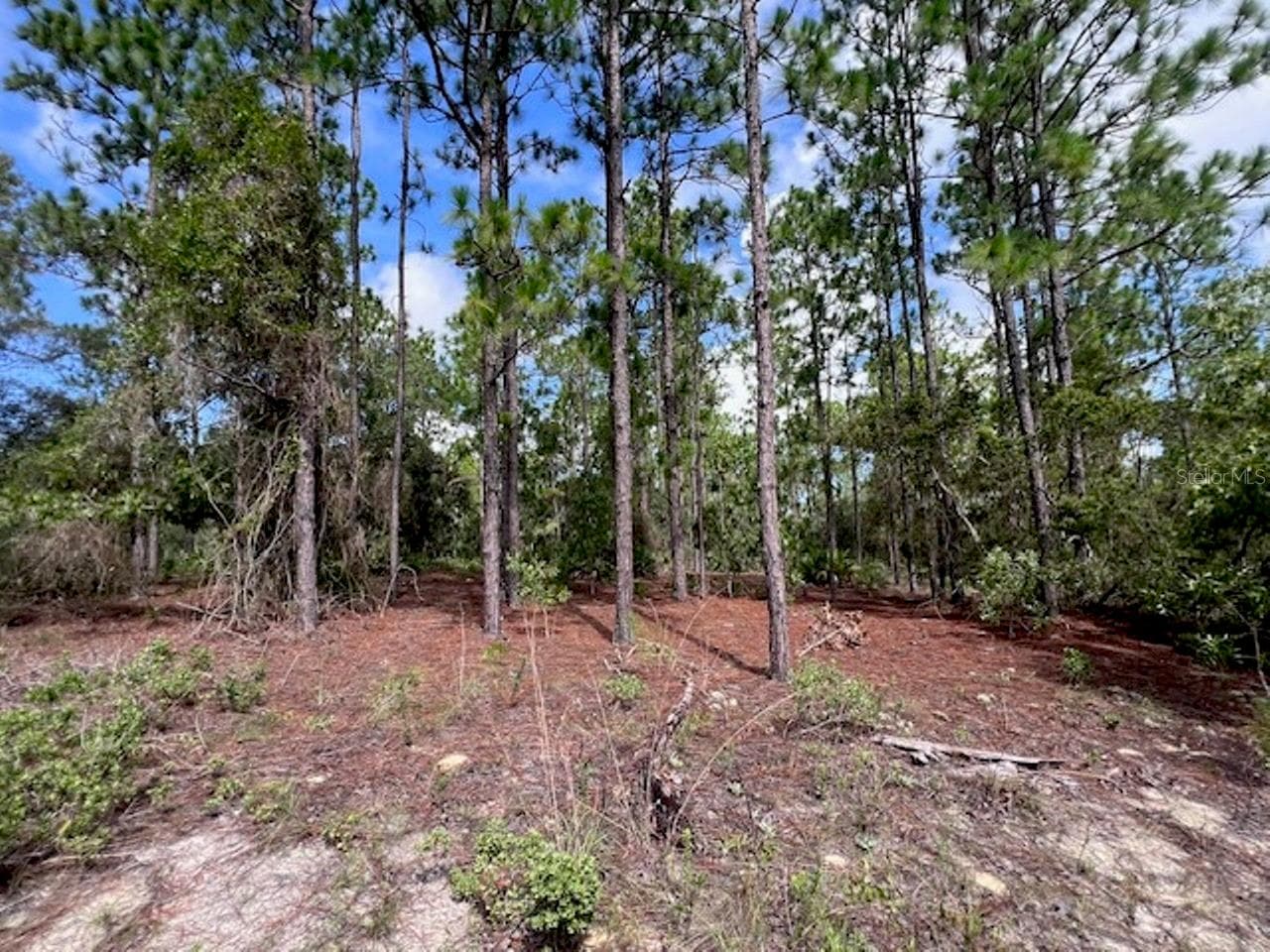 Land at 10806 N STATUE PT, DUNNELLON, photo 15 of 21