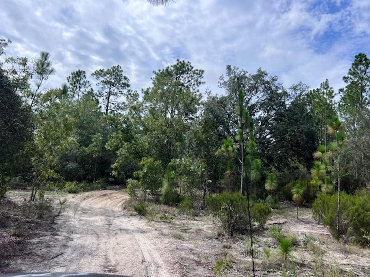 Land at 10806 N STATUE PT, DUNNELLON, photo 16 of 21