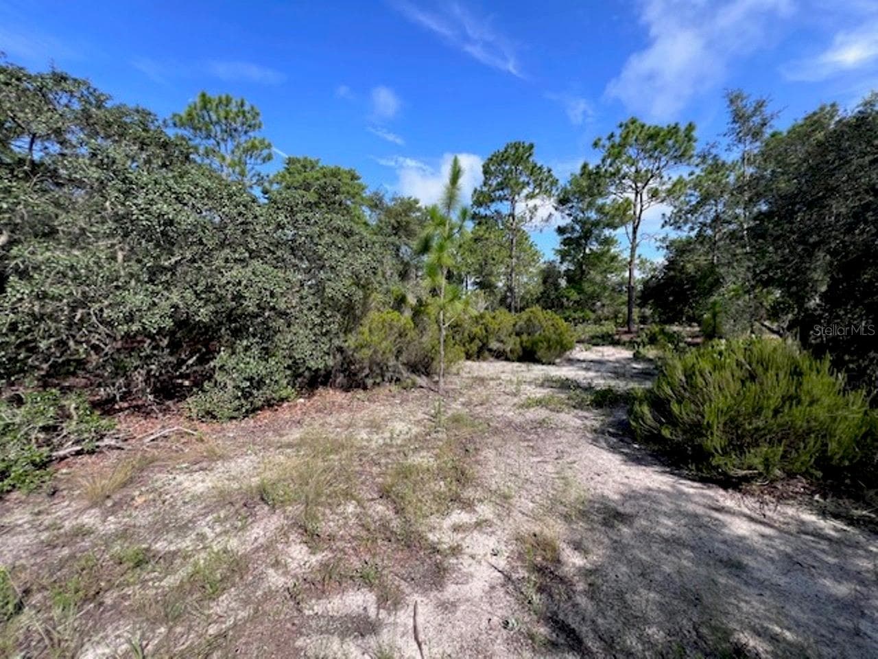Land at 10806 N STATUE PT, DUNNELLON, photo 17 of 21