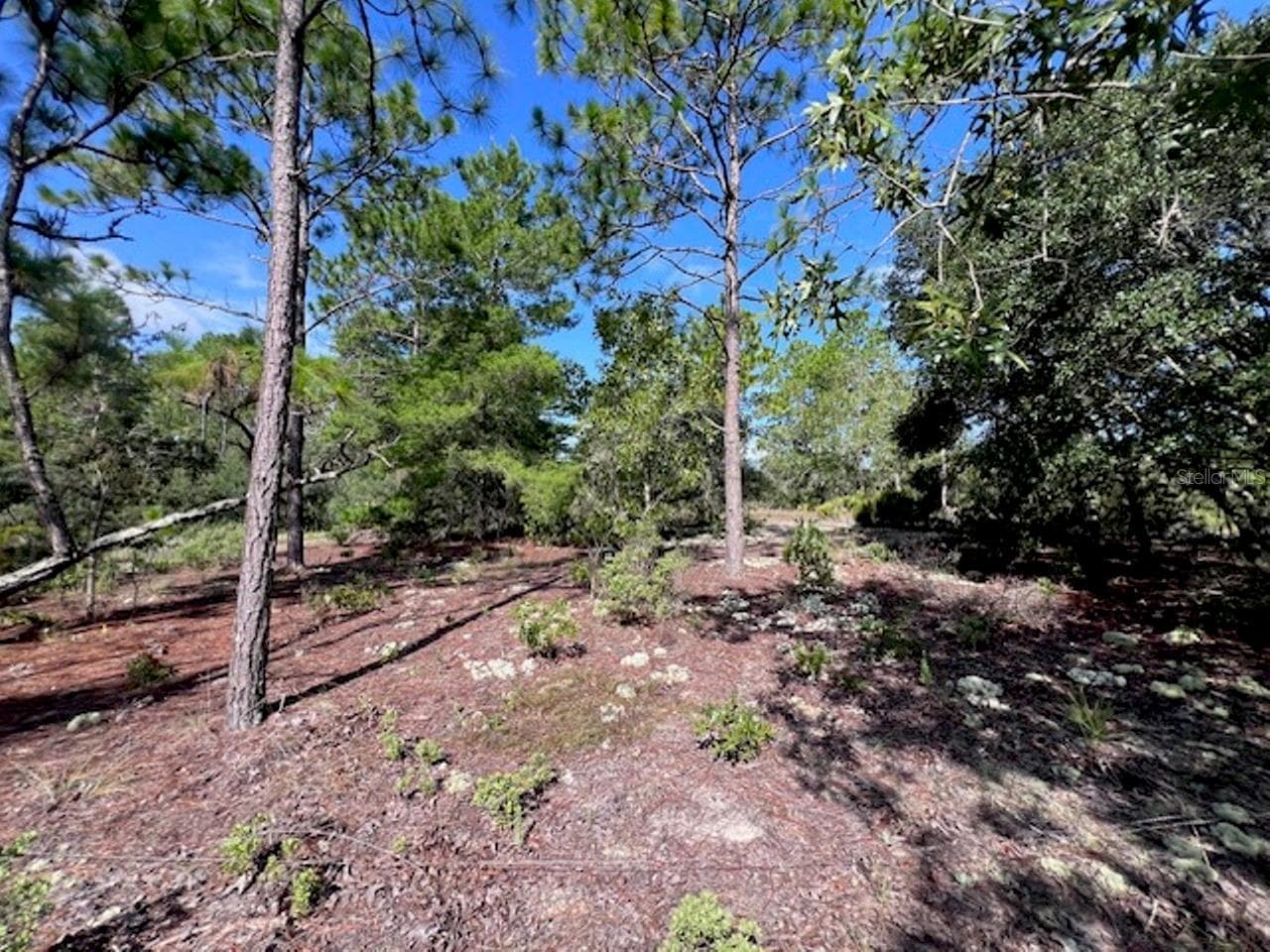 Land at 10806 N STATUE PT, DUNNELLON, photo 21 of 21