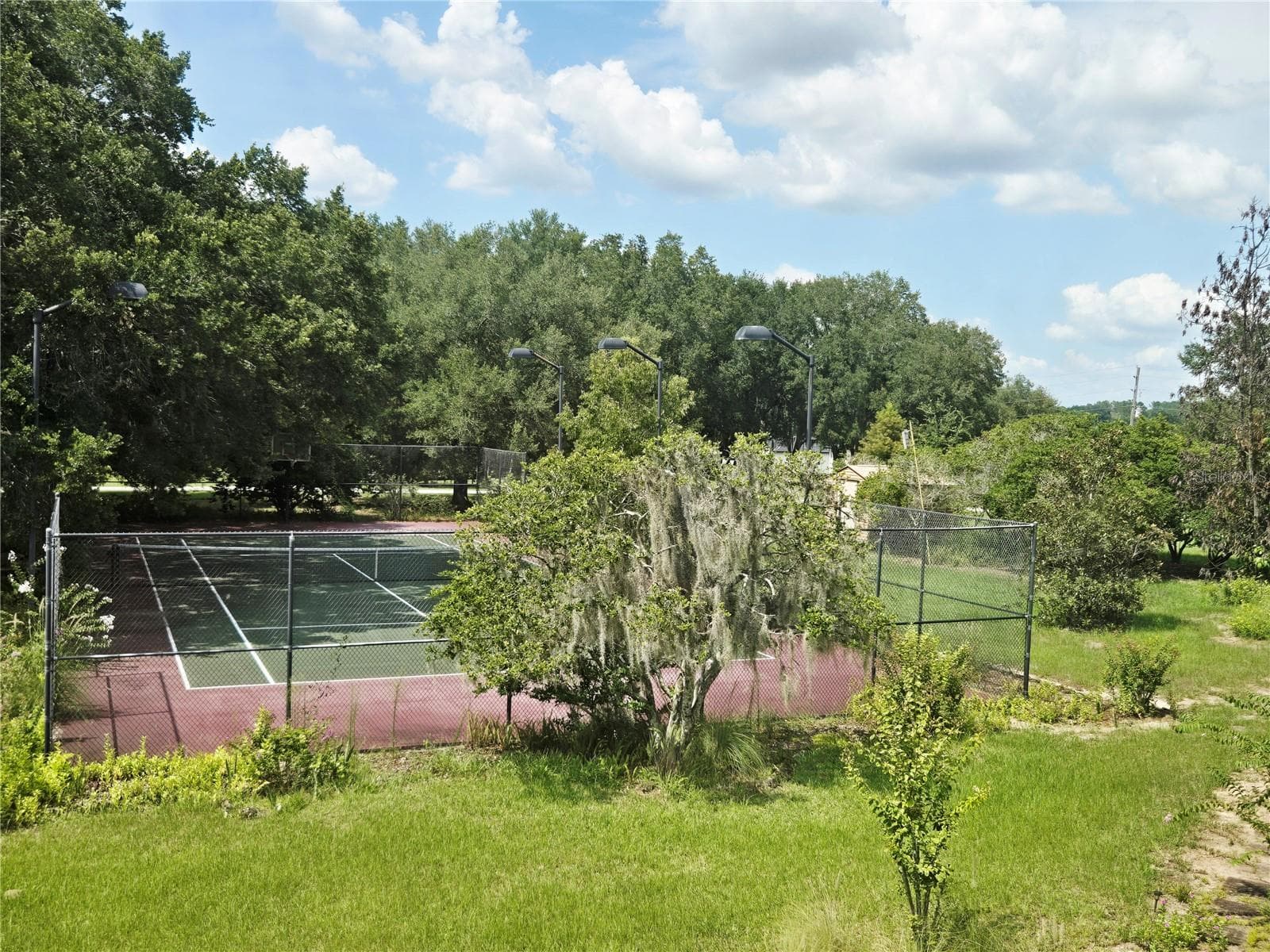 View from Sunroom - 18249 ROSE ST, GROVELAND