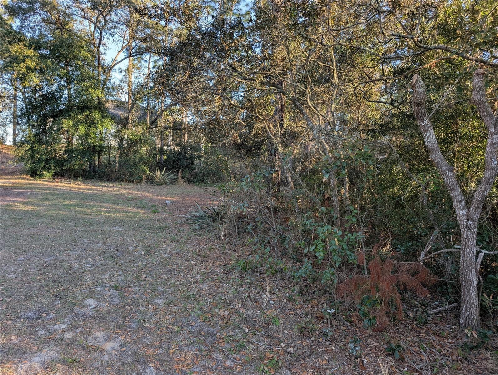 Land at 8949 N LANSEN WAY, CITRUS SPRINGS, photo 3 of 6