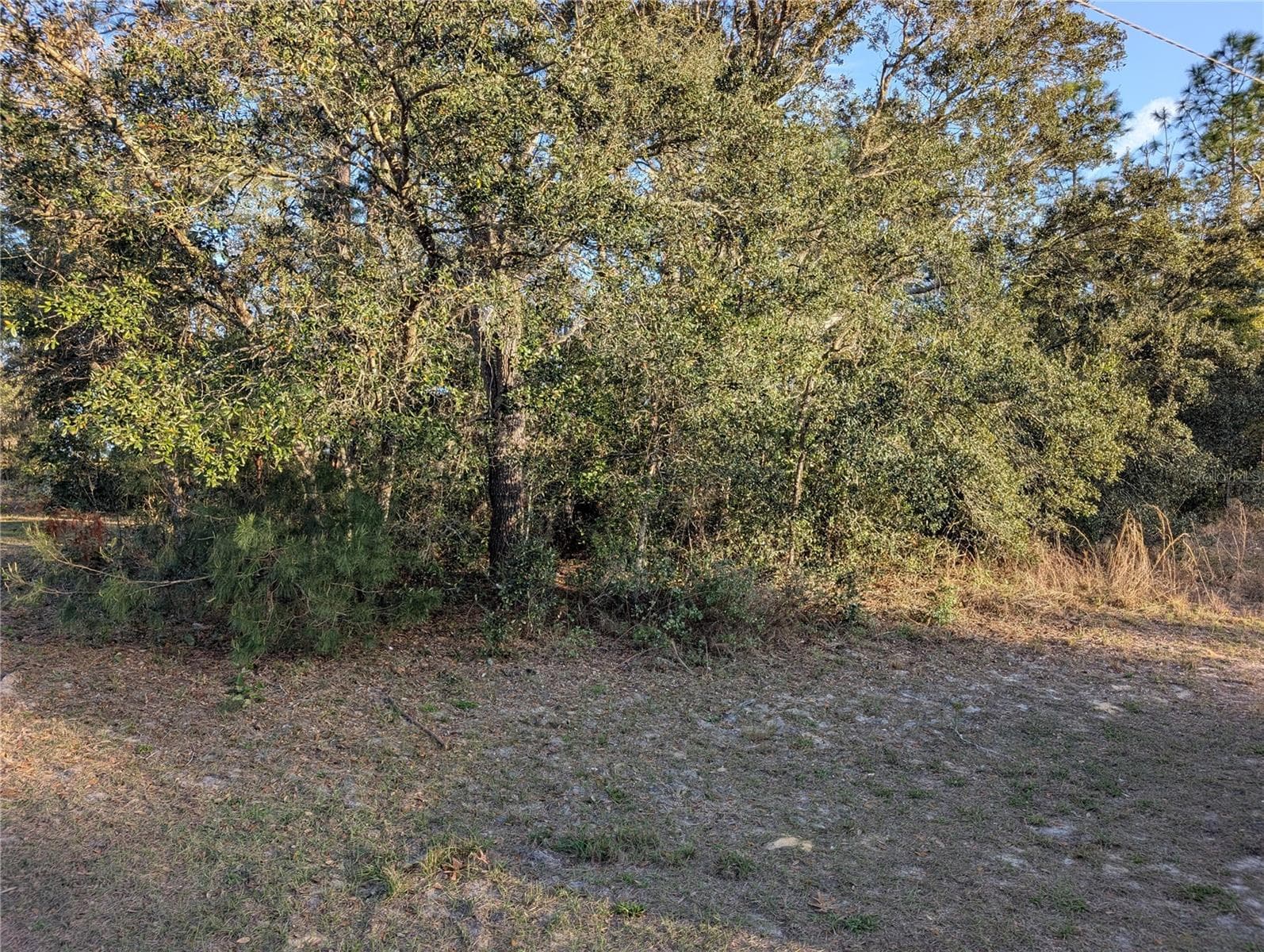 Land at 8949 N LANSEN WAY, CITRUS SPRINGS, photo 5 of 6