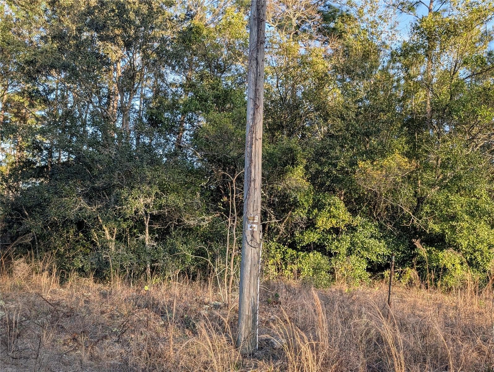 Land at 8949 N LANSEN WAY, CITRUS SPRINGS, photo 6 of 6