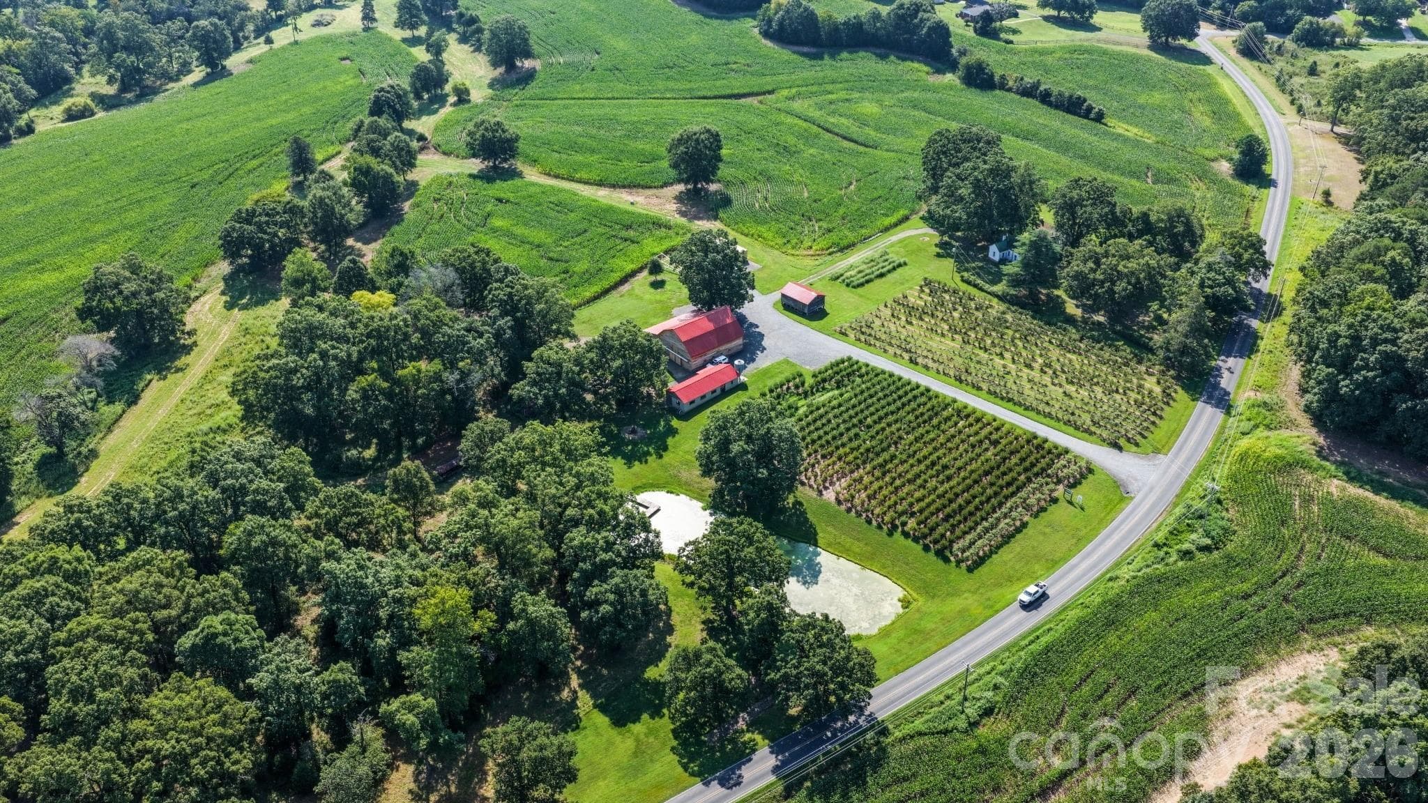 Landscape includes rolling pasture, wooded acreage, mature oak trees, a pond, and creek frontage - Albemarle
