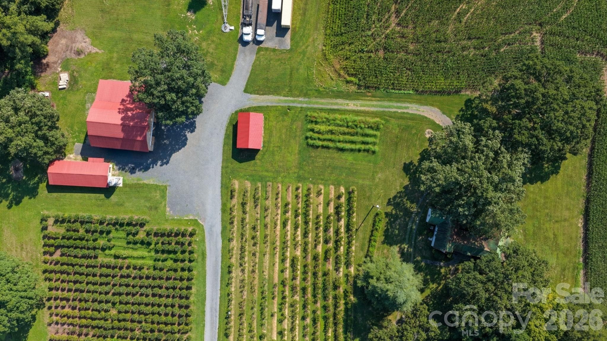 13-stall barn with hay loft, equipment shed, milking parlor, storage barn, and grain silo - 32286 Laton Road, Albemarle