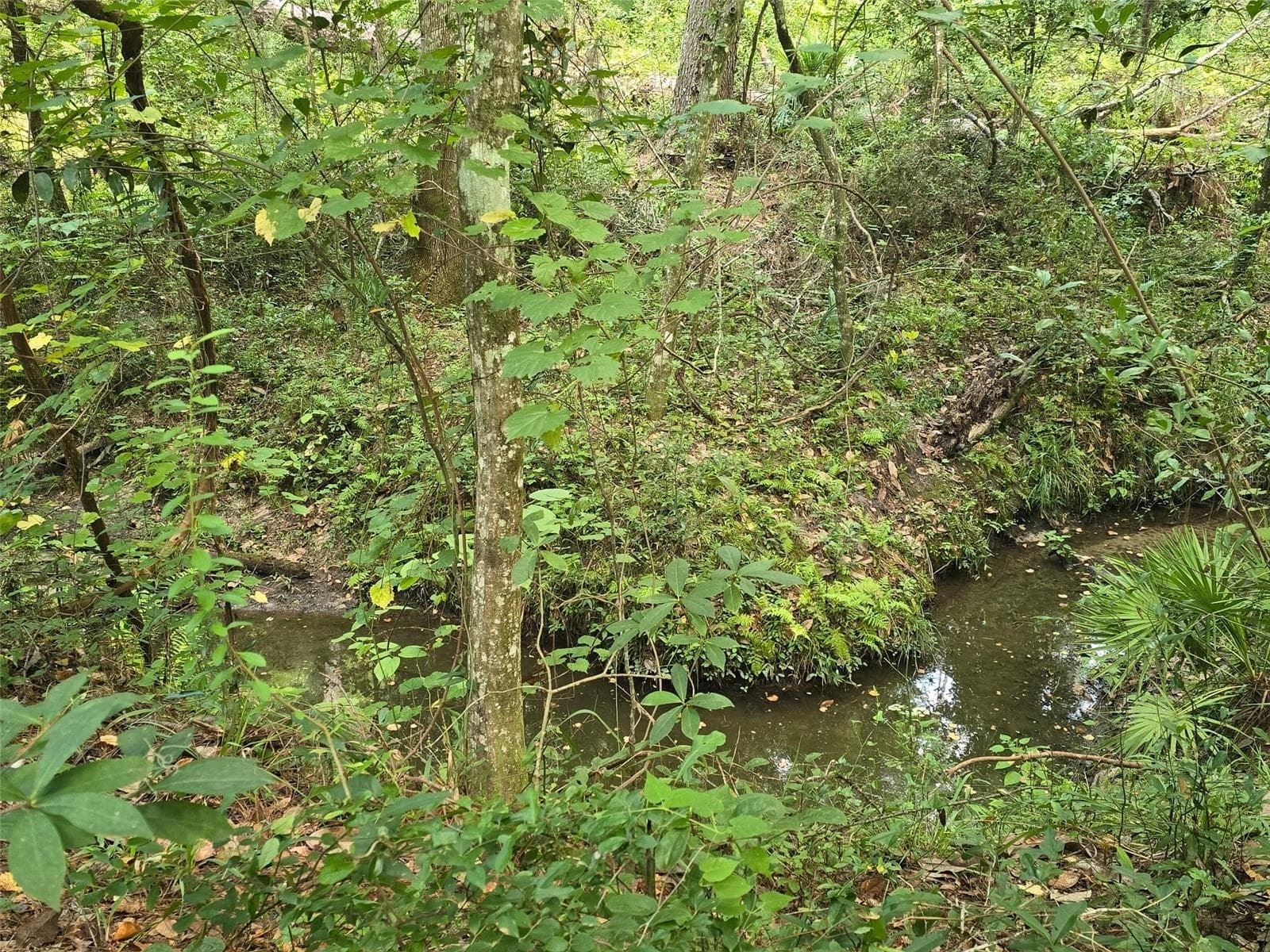 Land at TBD NW SPRING HOLLOW BLVD, LAKE CITY, photo 4 of 10