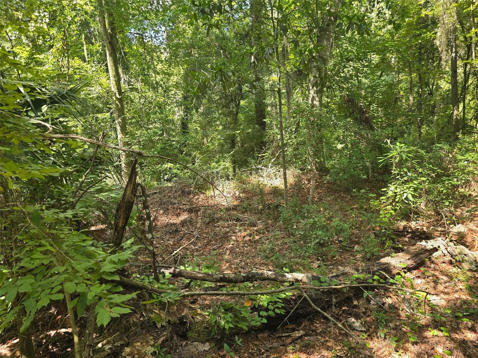 Land at TBD NW SPRING HOLLOW BLVD, LAKE CITY, photo 5 of 10