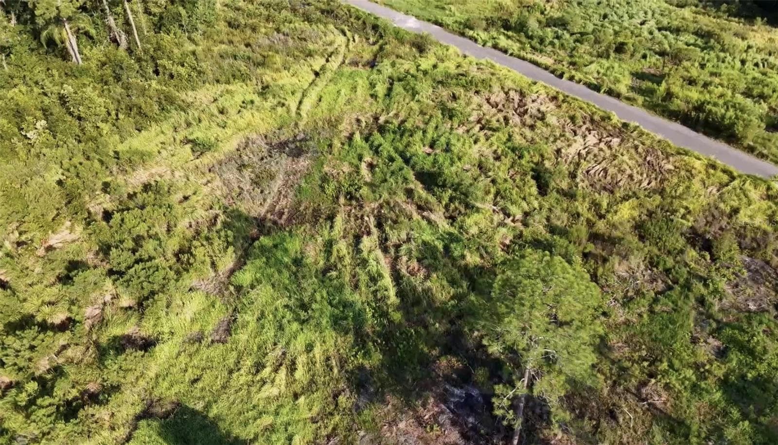 lLot is cleared - AVONWOOD, TAMPA