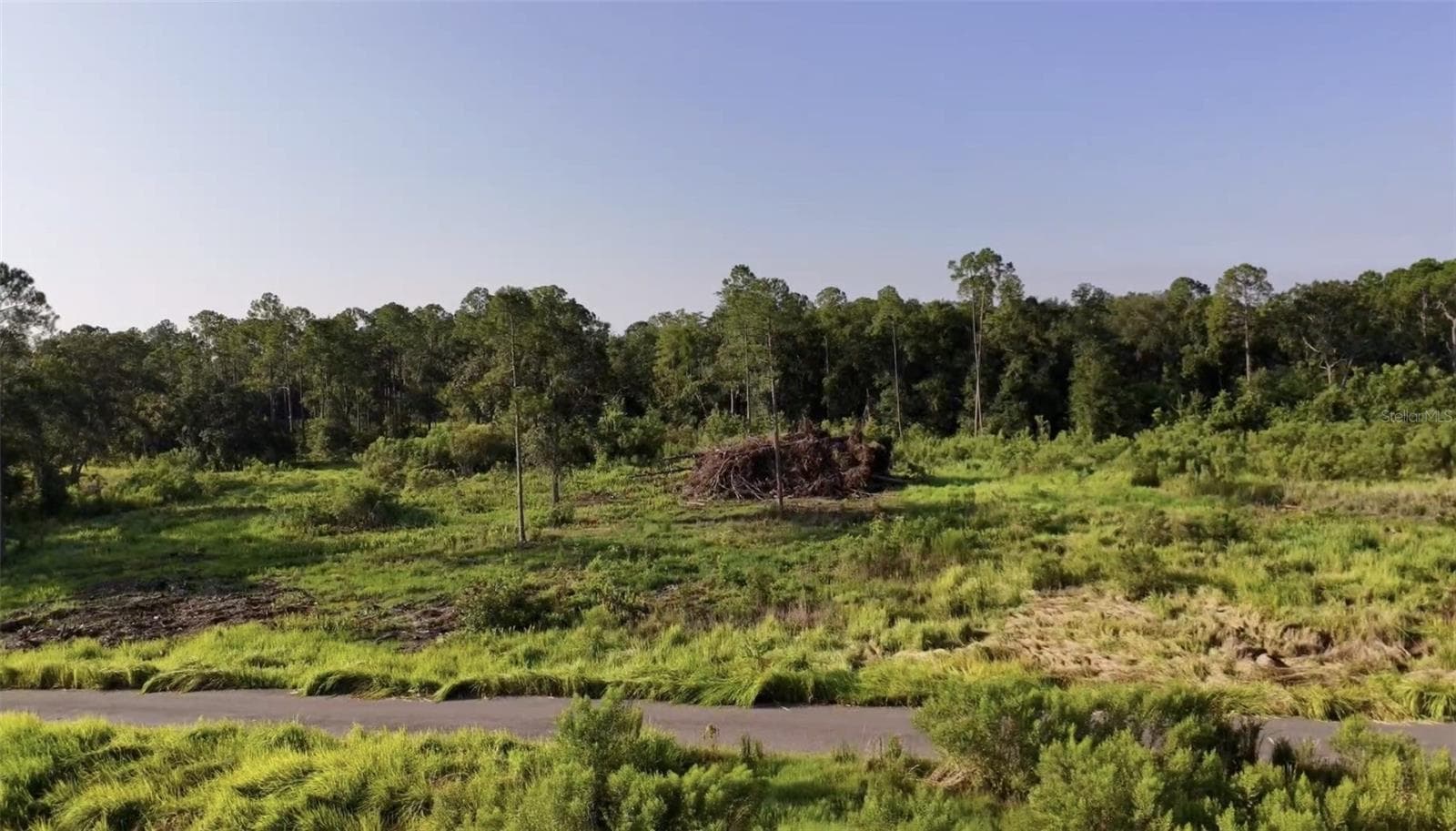 Land at AVONWOOD, TAMPA, photo 7 of 14