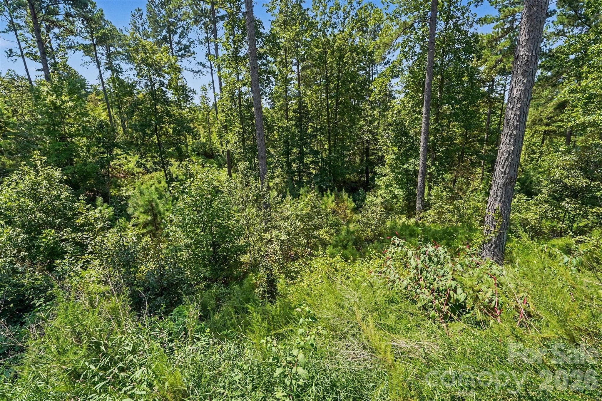 Lot at 3131 Belford Trail, Connelly Springs, photo 17 of 48