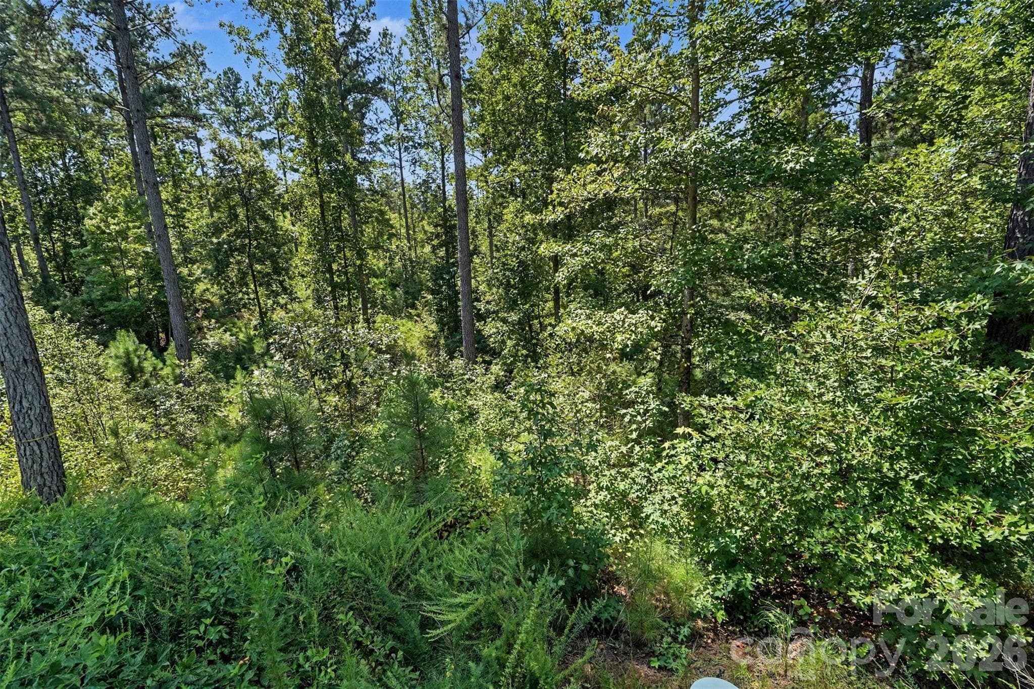 Lot at 3131 Belford Trail, Connelly Springs, photo 18 of 48