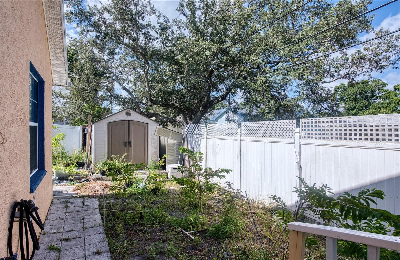 Backyard. (1) - 1150 OAKWOOD DR, DUNEDIN