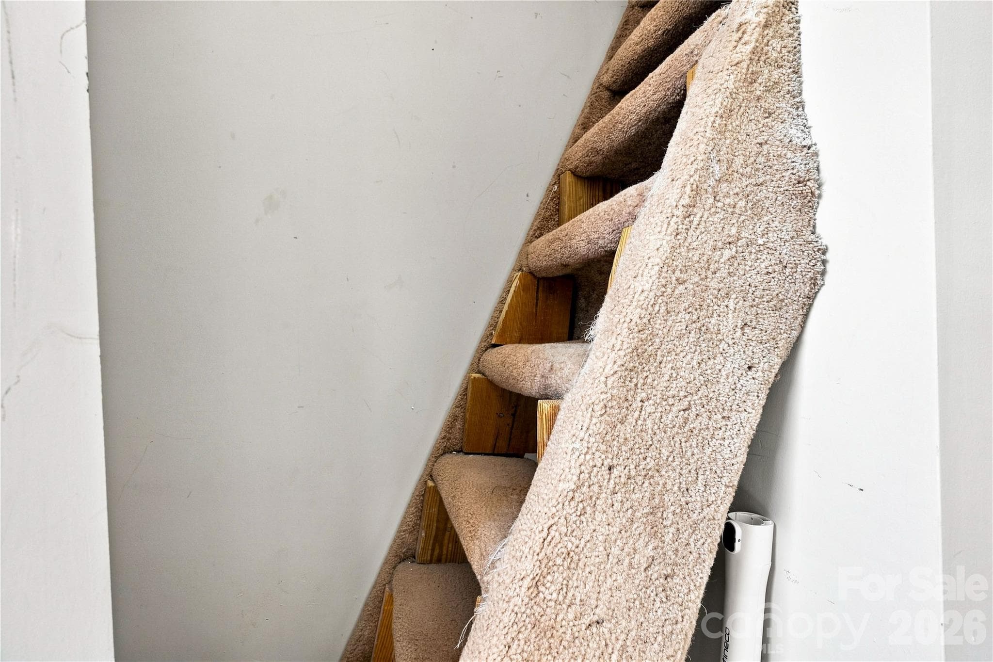 Stairs to storage space - 9031 J M Keynes Drive, Charlotte