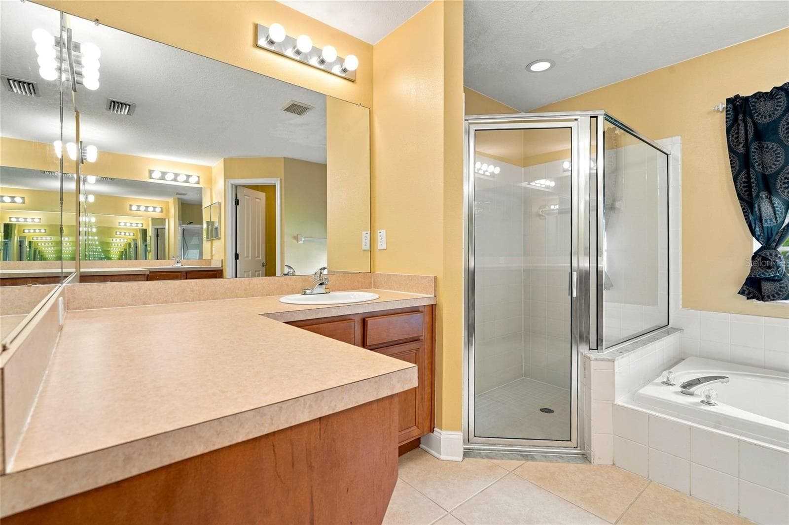 Primary Bathroom - 30501 IVERSON DR, WESLEY CHAPEL