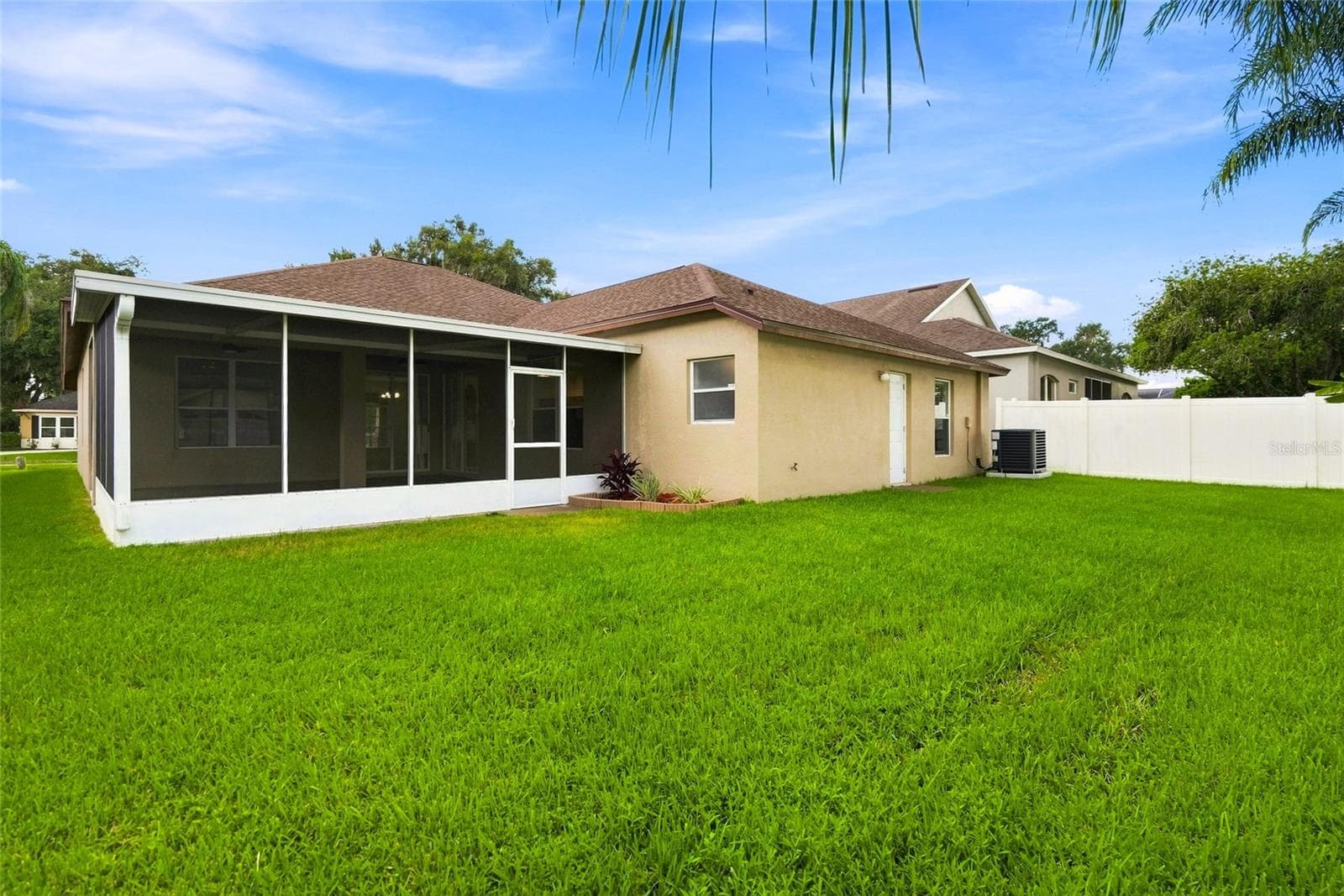 Backyard - 30501 IVERSON DR, WESLEY CHAPEL