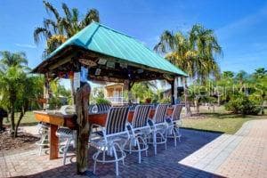 Outdoor fun at the Clubhouse - 6757 AMANDA VISTA CIR, LAND O LAKES
