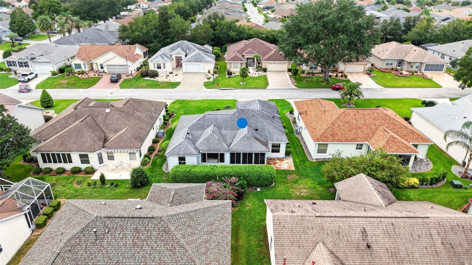 Backyard PRIVACY Hedge - 16947 SE 93RD CUTHBERT CIR, THE VILLAGES