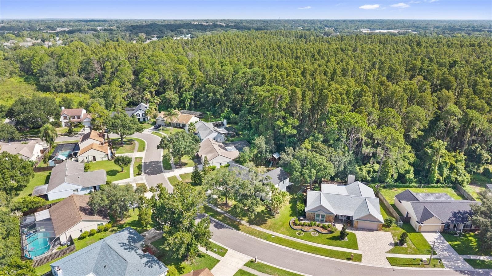 Single Family Residence at 3720 MURRAY DALE DR, VALRICO, photo 63 of 68