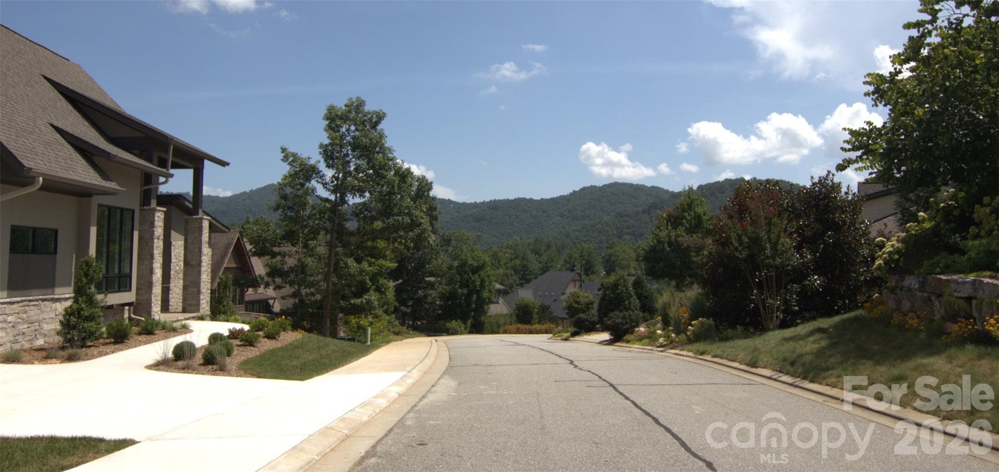 View from Street - 47 Versailles Lane, Asheville