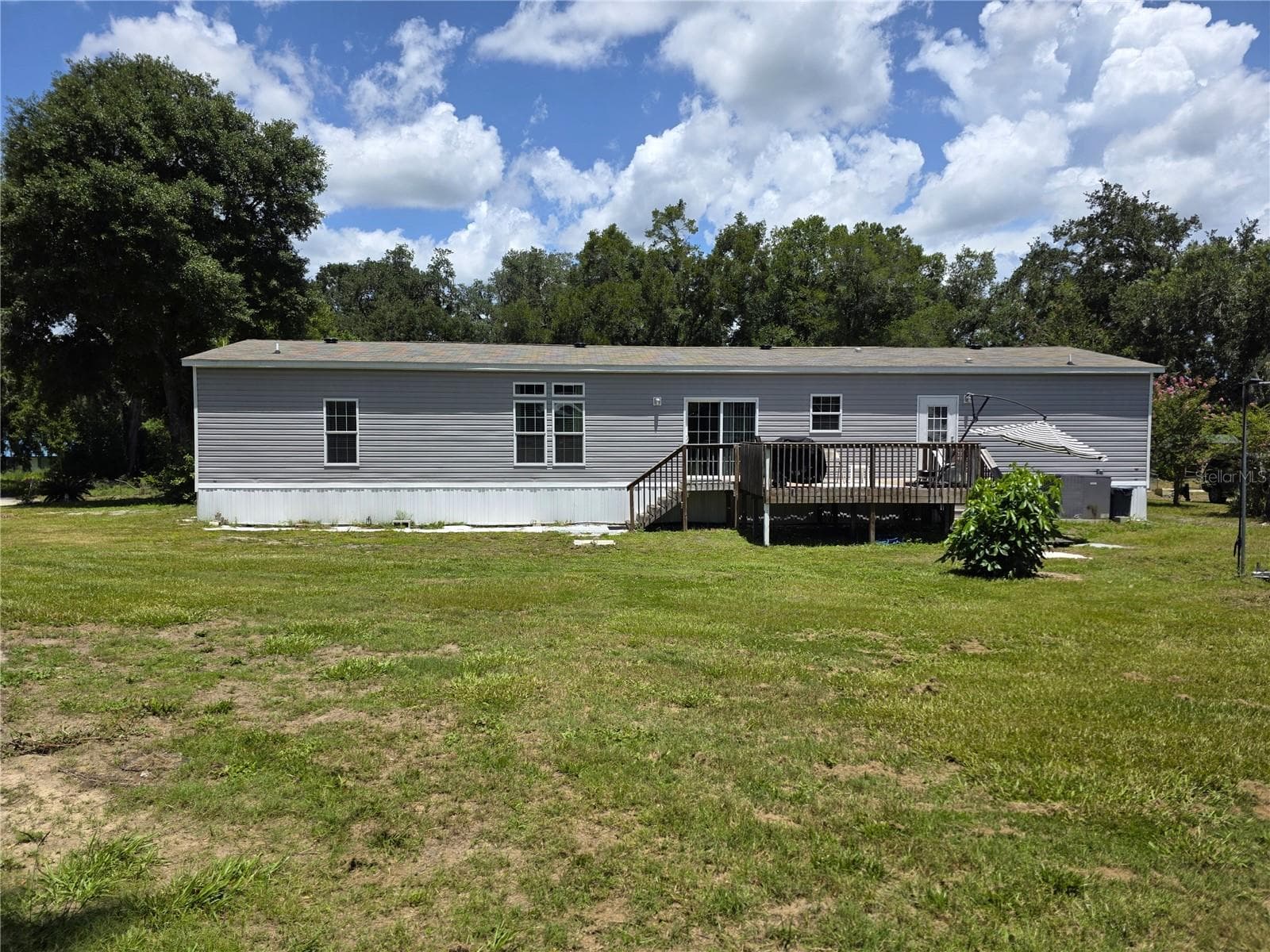 Back yard - 10617 SKEWLEE GARDENS DR, THONOTOSASSA