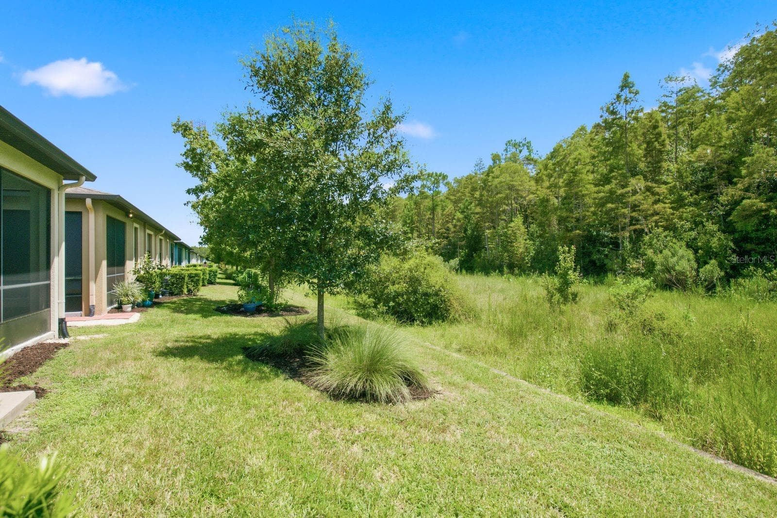 Villa at 16936 BALANCE CV, LAND O LAKES, photo 7 of 48