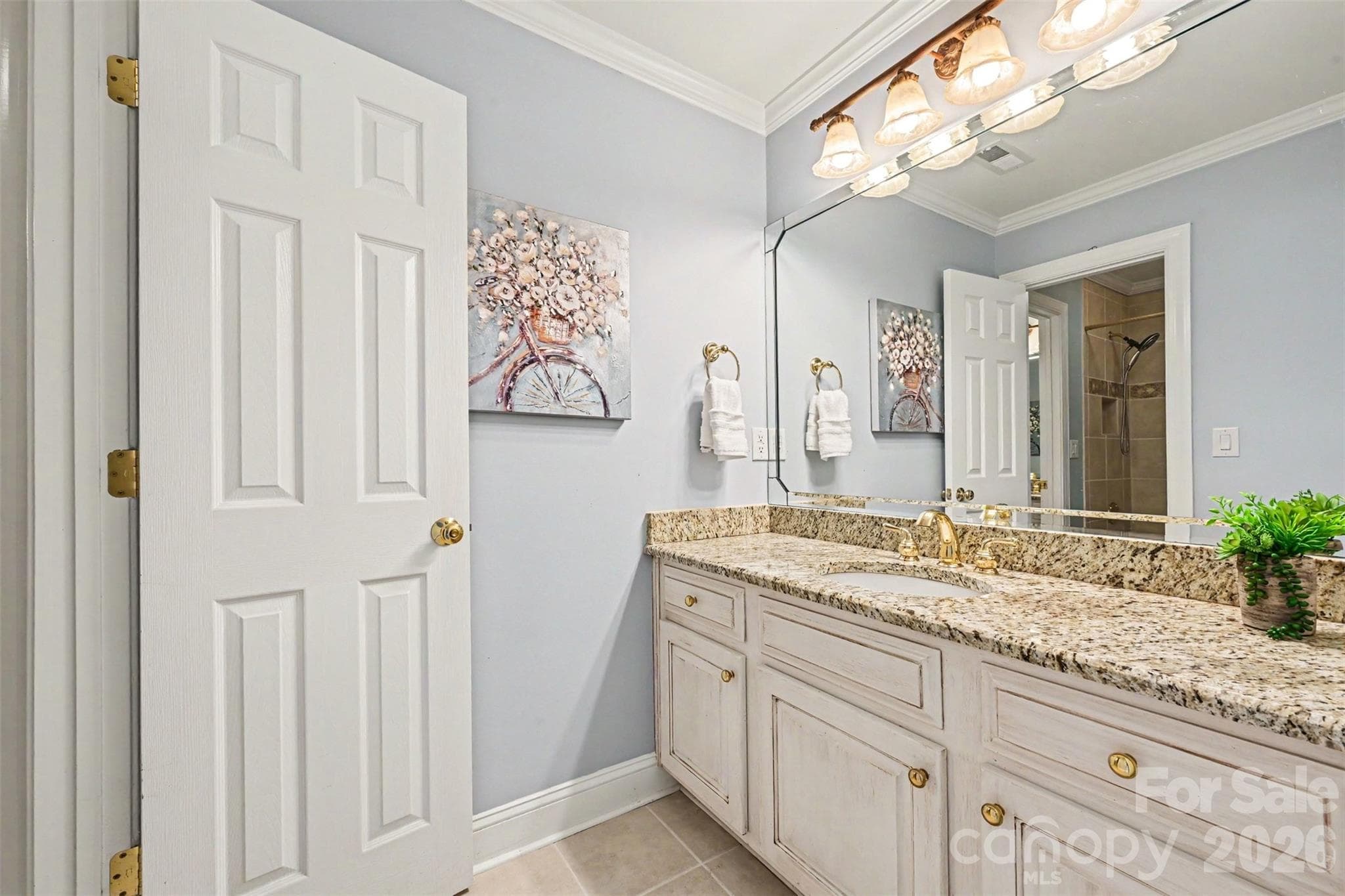 Townhouse at 7526 Bluestar Lane, Charlotte, photo 28 of 48