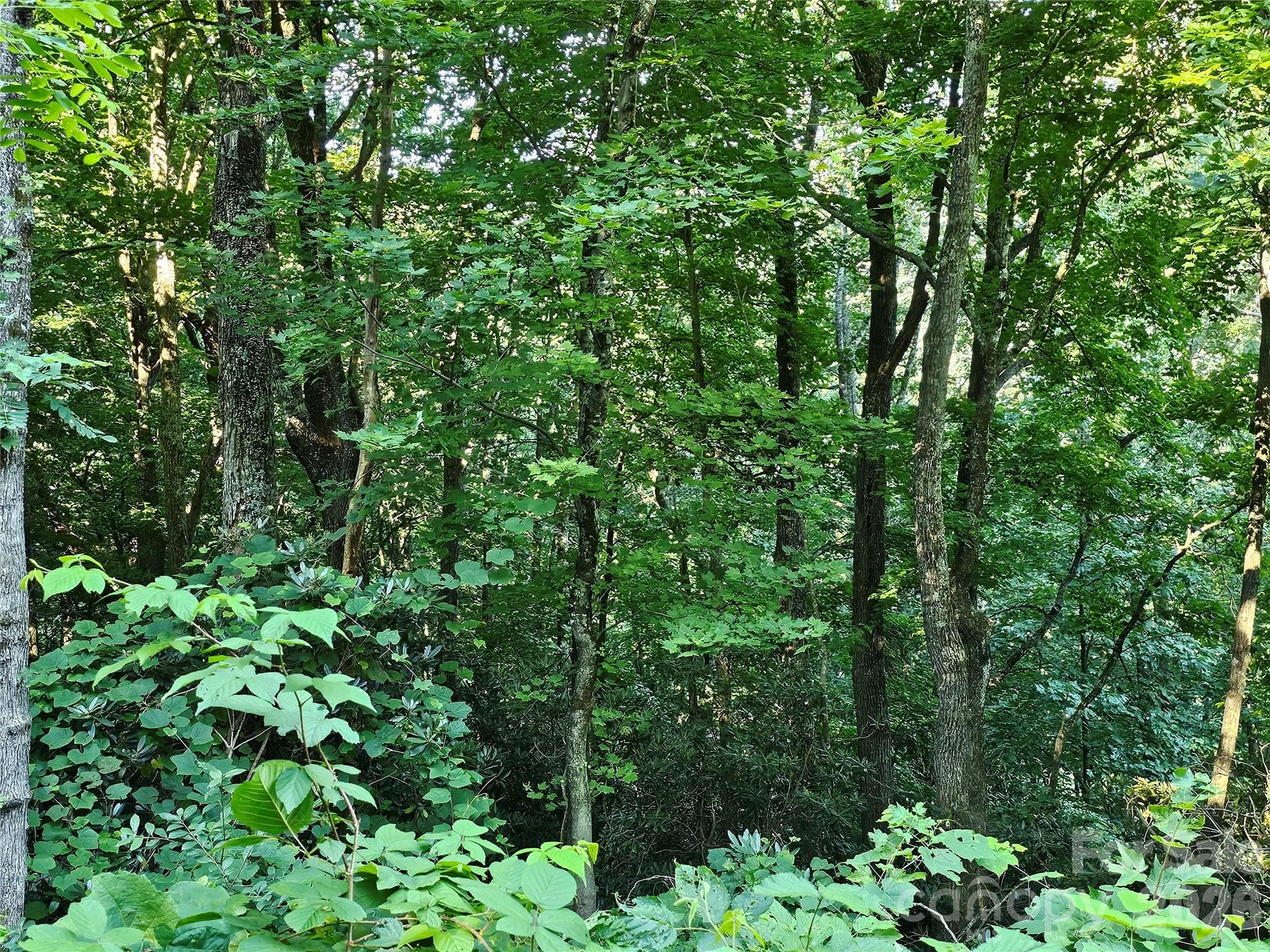 WOODED LOT - 109 Big Ridge Road, Burnsville