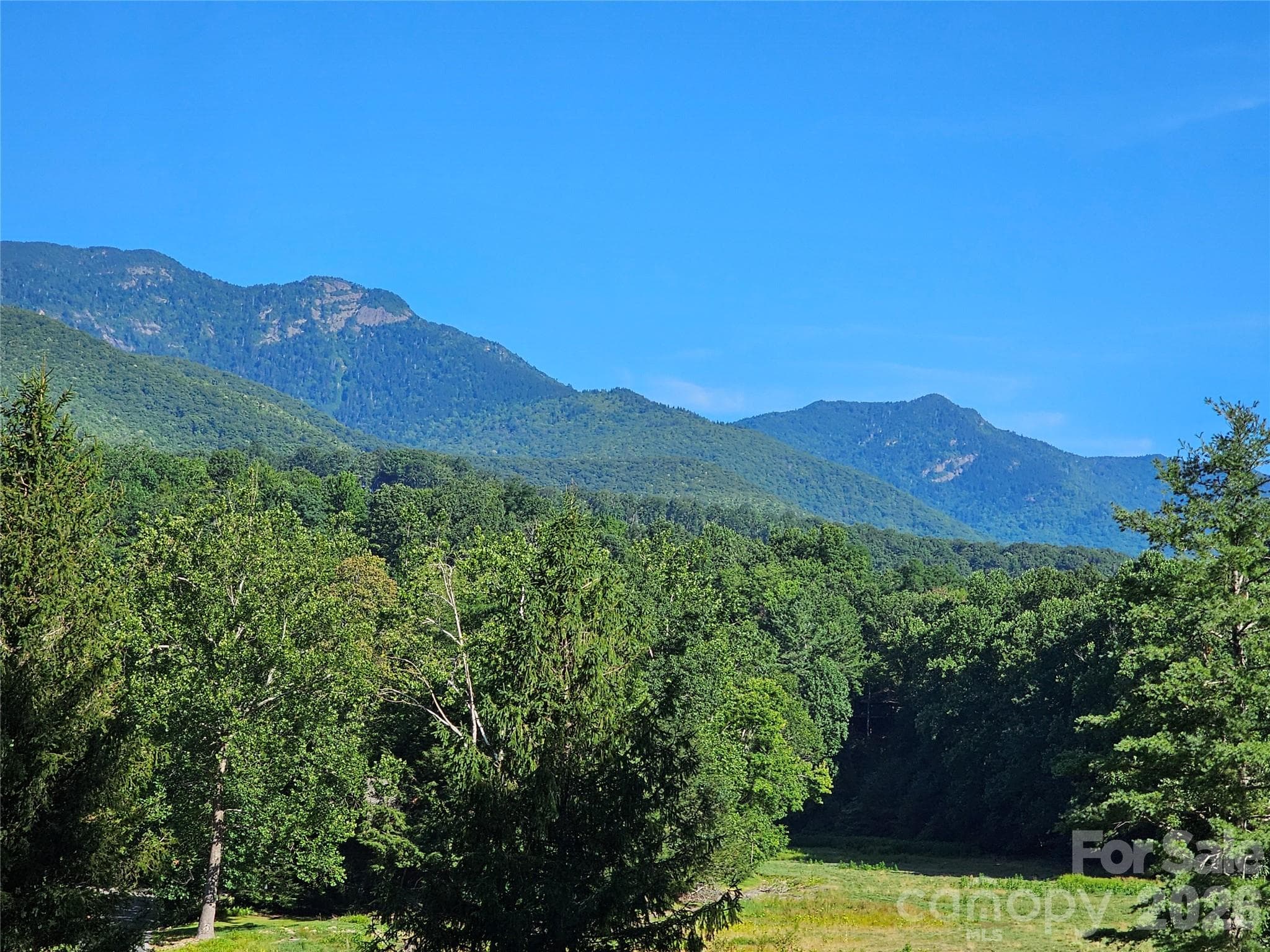 MT MITCHELL GOLF COURSE VIEW IN FRONT OF COMMUNITY - 109 Big Ridge Road, Burnsville