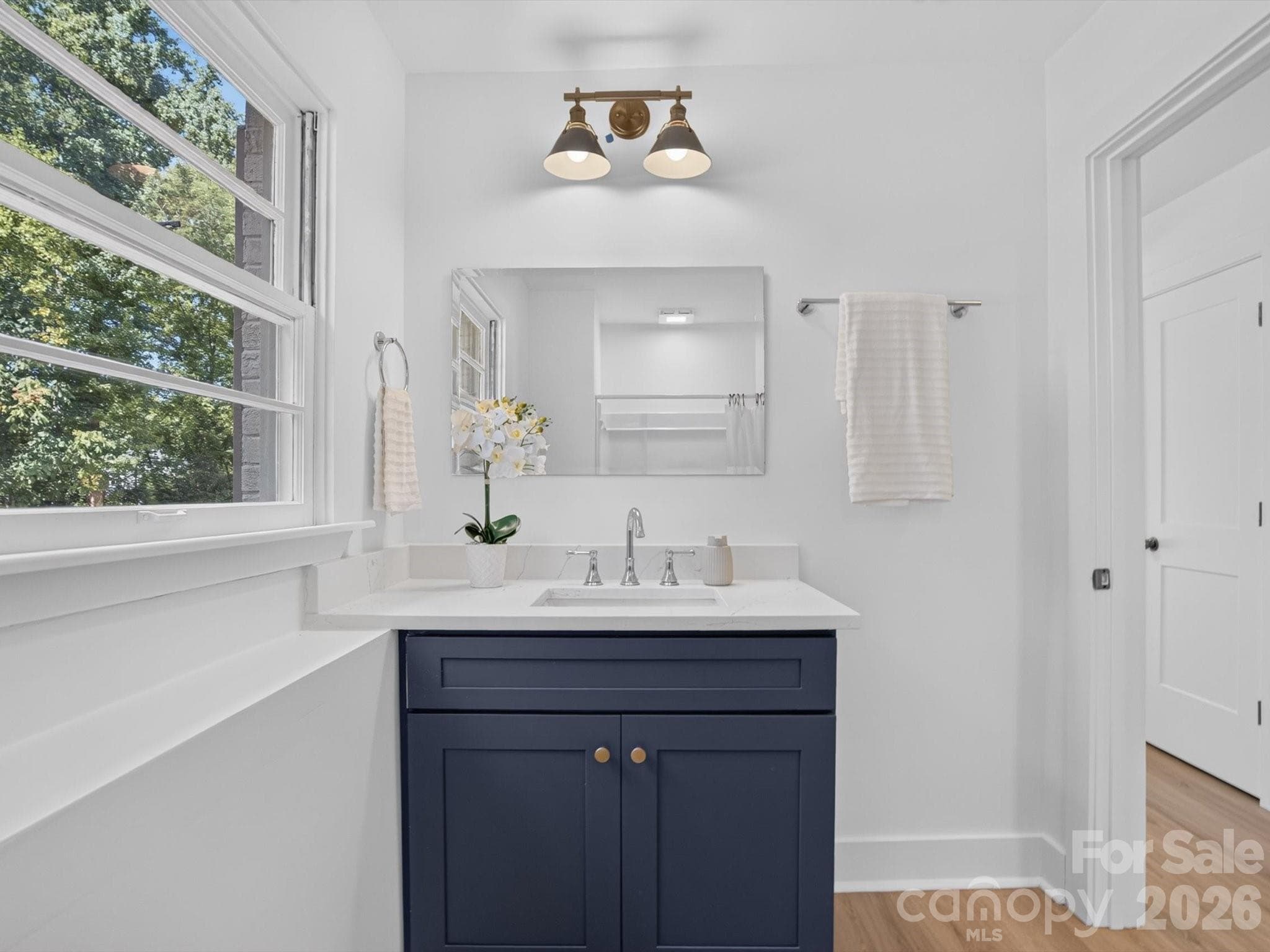 A bold vanity adds character. - 2532 Sam Newell Road, Matthews