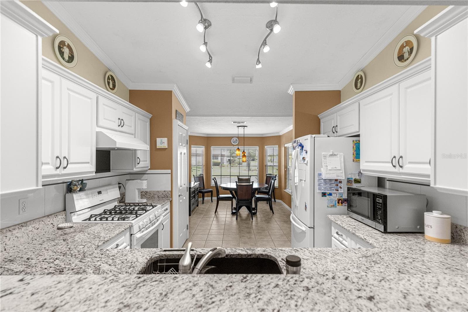 Single Family Residence at 14179 SE 88TH CT, SUMMERFIELD, photo 6 of 59
