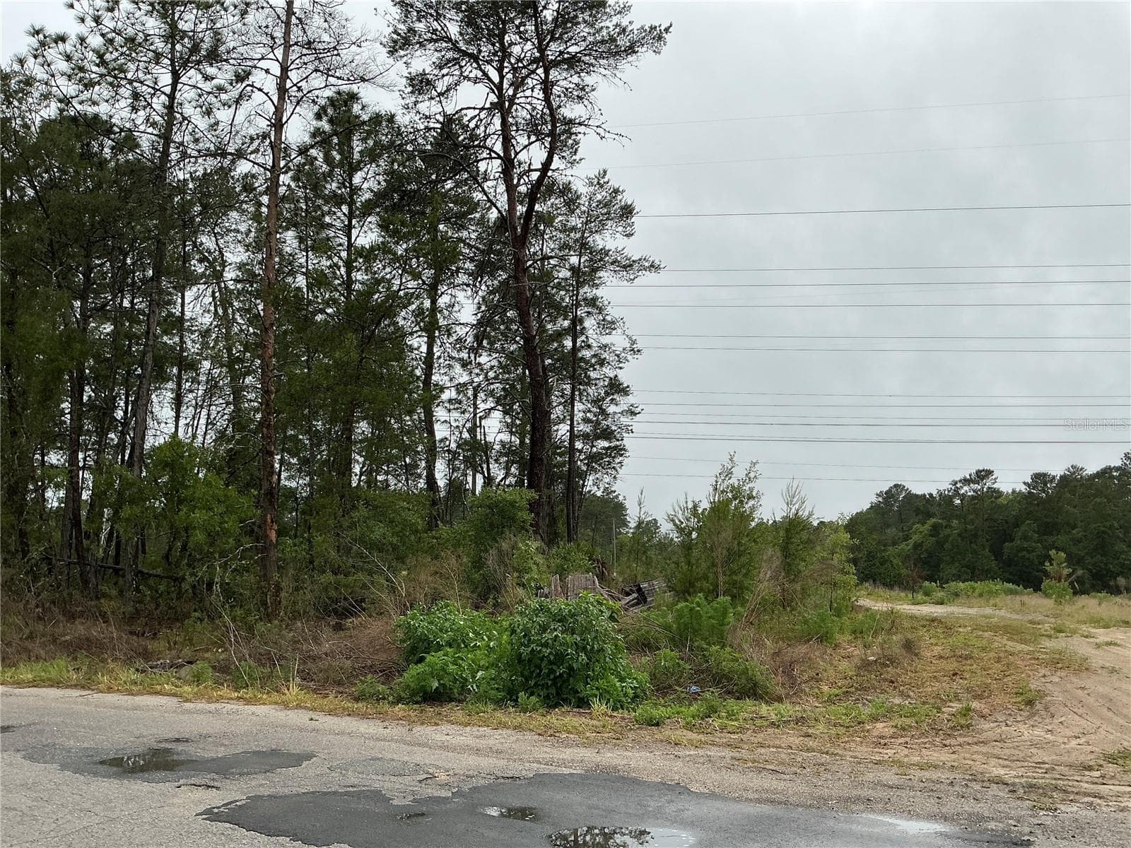 Land at 16914 SW 44TH CIR, OCALA, photo 3 of 6