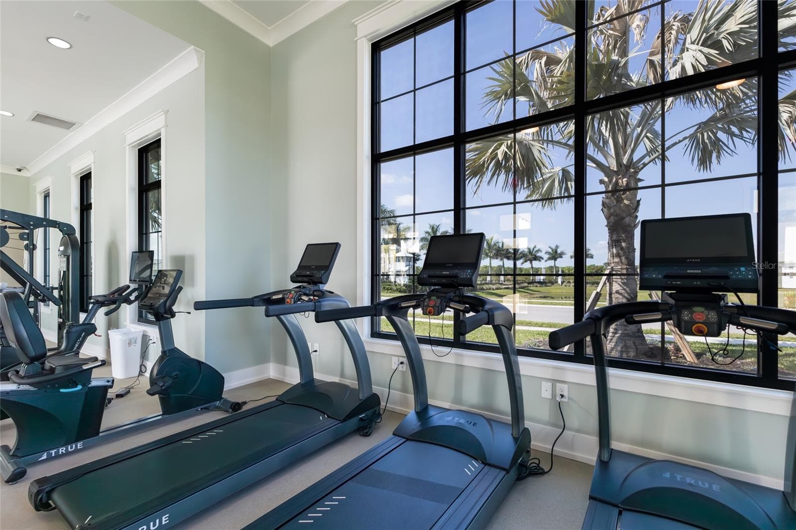 Community Gym - 4811 HONEY DEW LN, BRADENTON