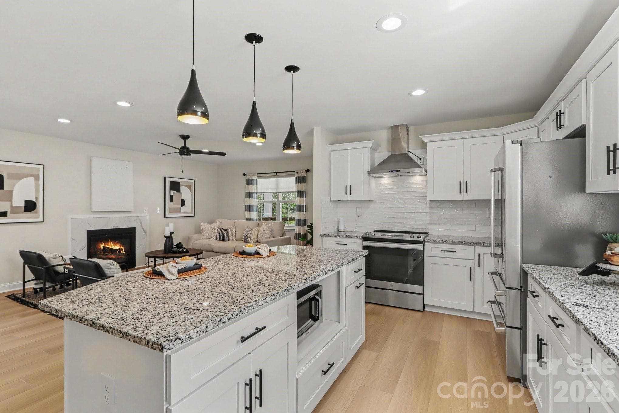 Single Family Residence at 842 Belmont Avenue, Charlotte, photo 6 of 28