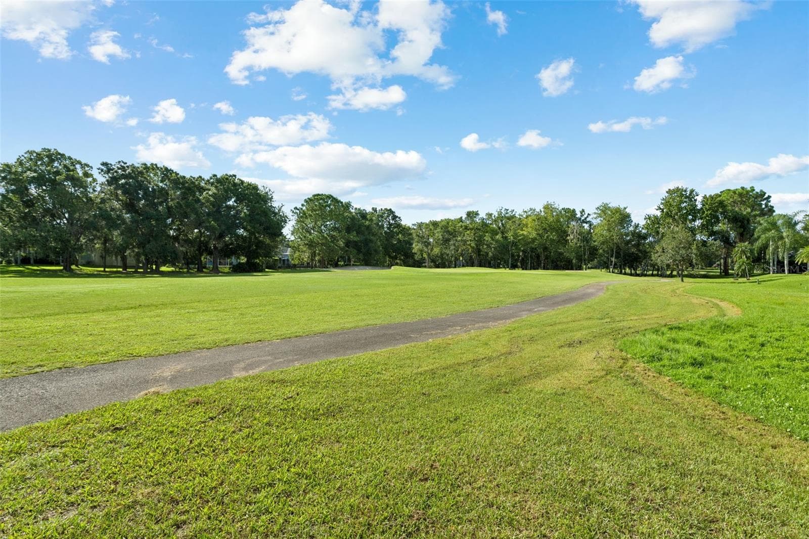 Single Family Residence at 15611 SHOAL CREEK PL, ODESSA, photo 51 of 74