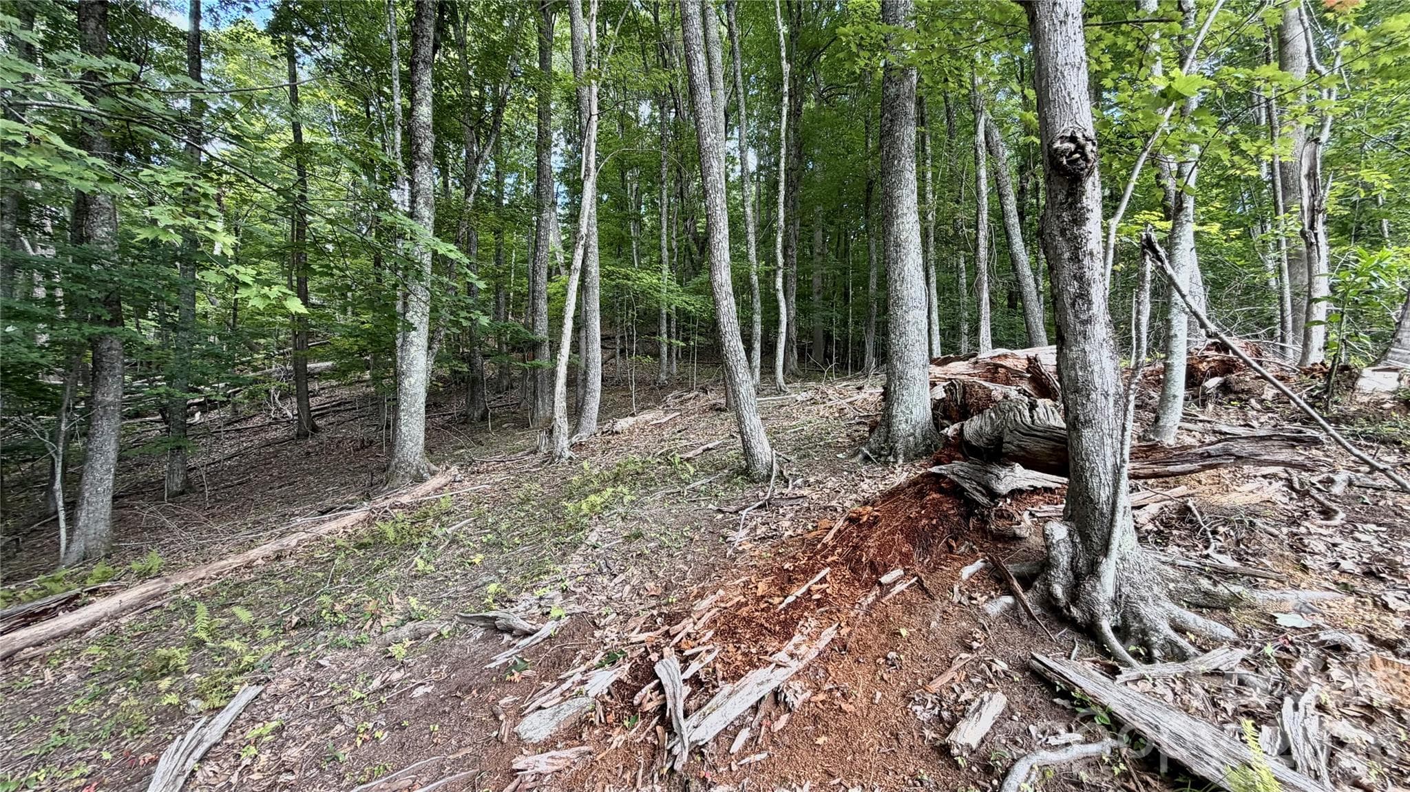 Lot at Mars Hill, photo 2 of 14