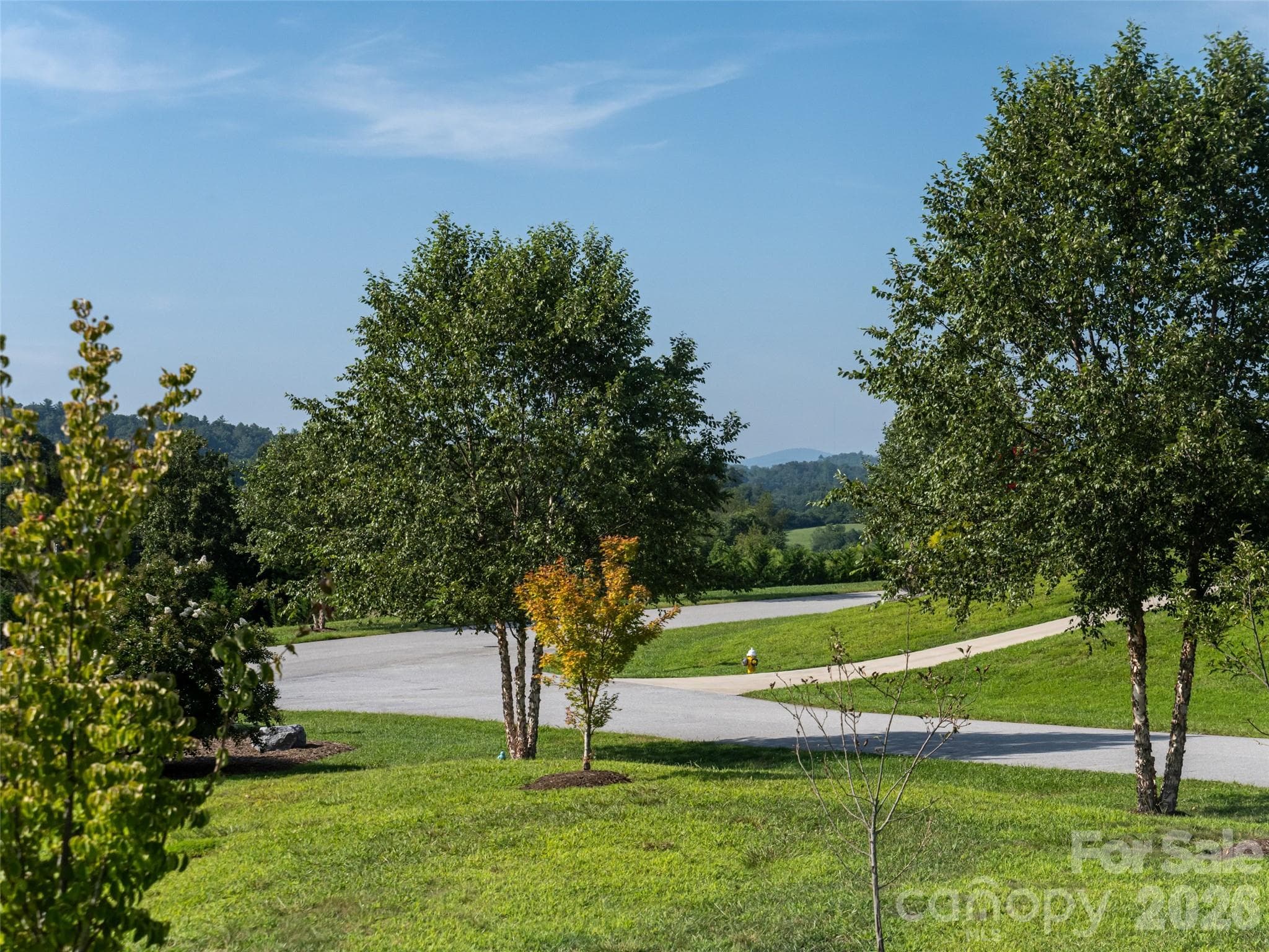 Single Family Residence at 46 Solomia Drive, Mills River, photo 36 of 45