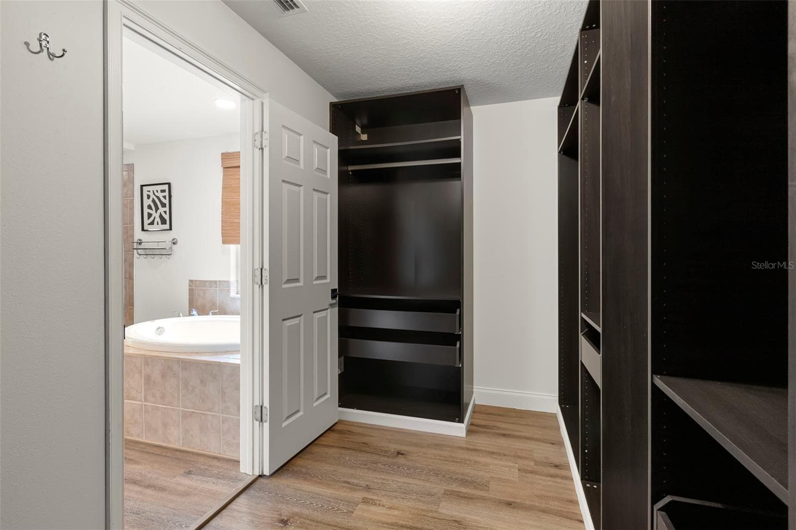 Primary Walk In Closet - 14743 CANOPY DR, TAMPA