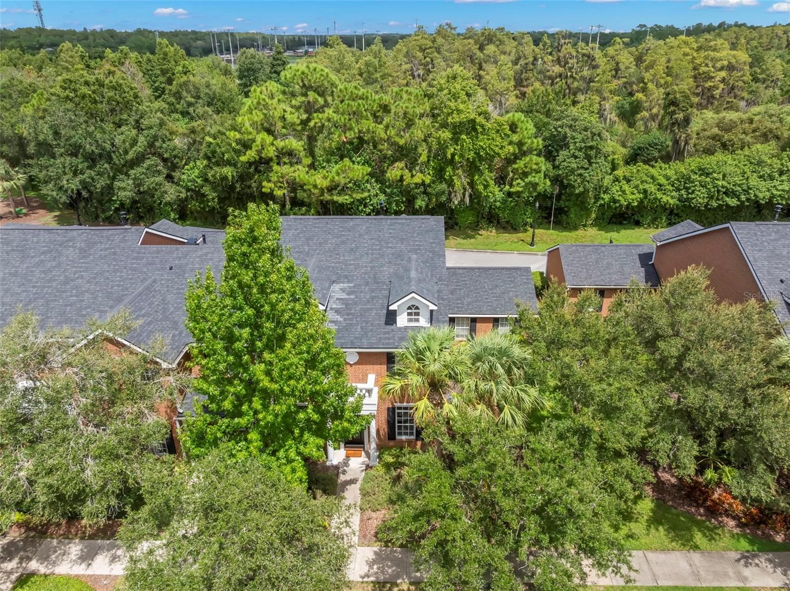 Situated on Conservation Lot - 14743 CANOPY DR, TAMPA