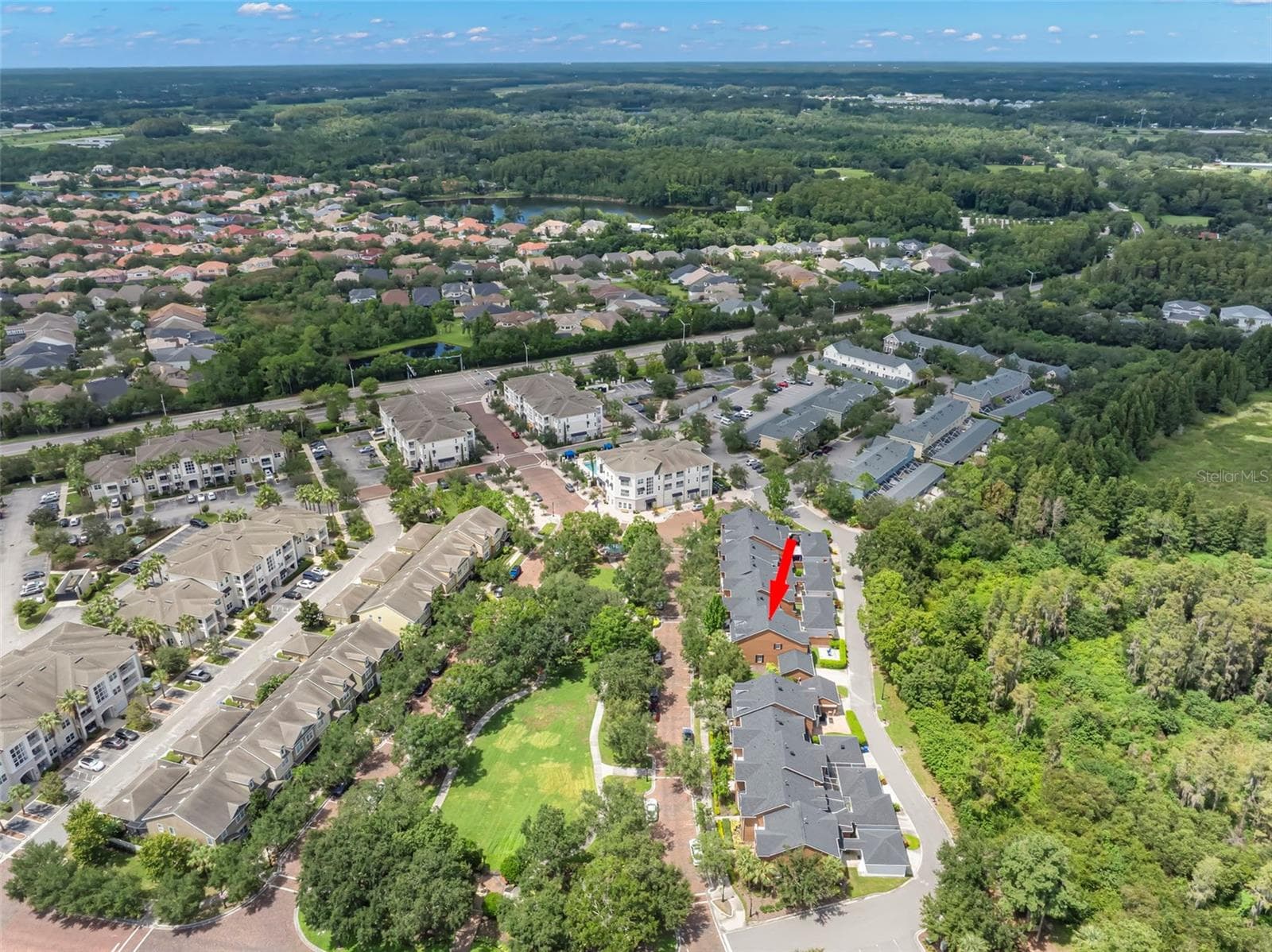 Aerial View on conservation lot - 14743 CANOPY DR, TAMPA