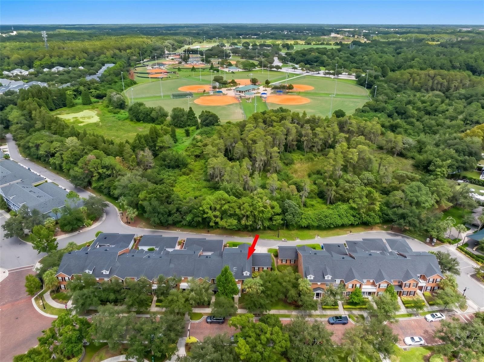 Aerial view of conservation area - 14743 CANOPY DR, TAMPA