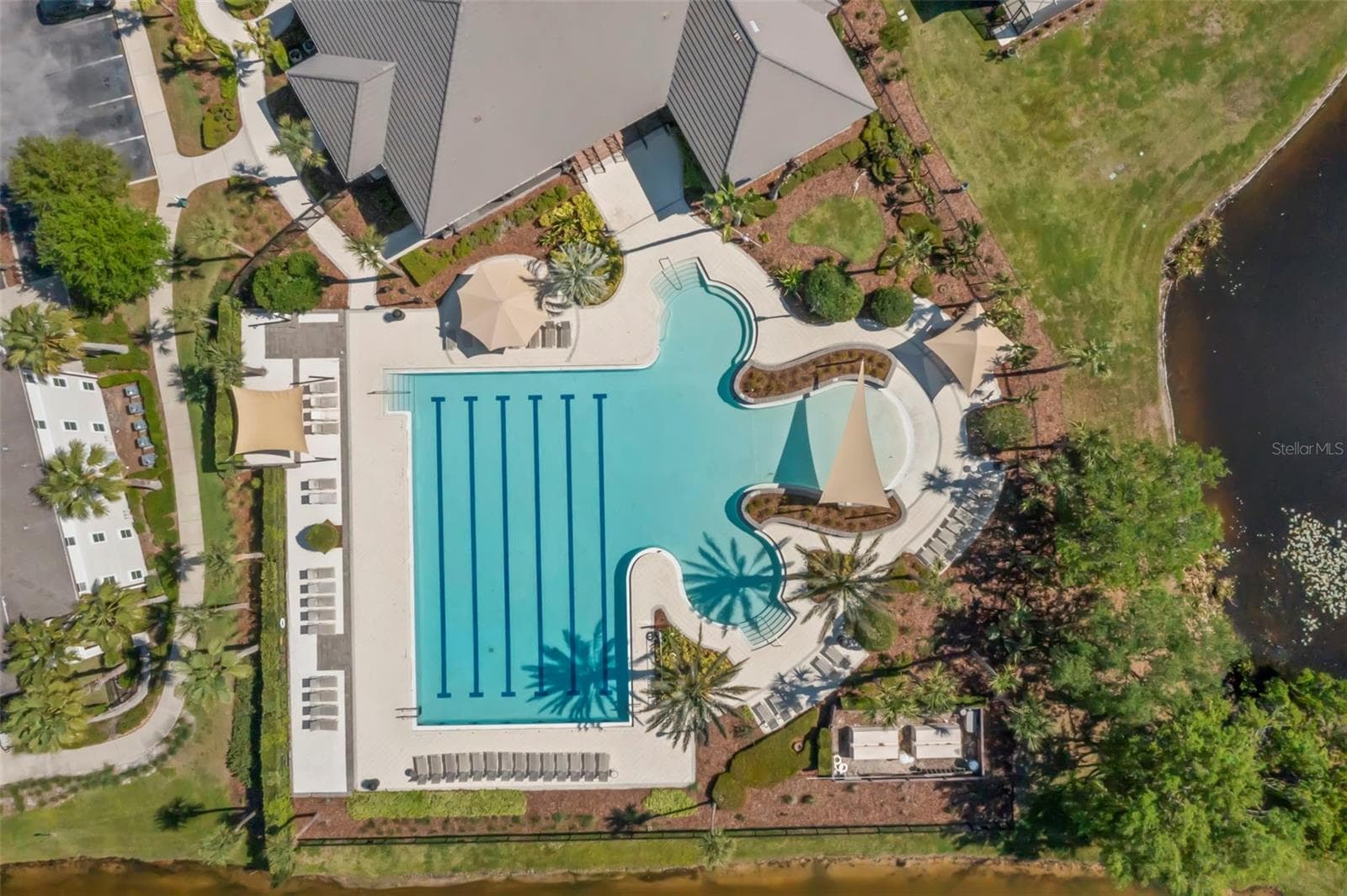 Pool at Lake House - 14743 CANOPY DR, TAMPA