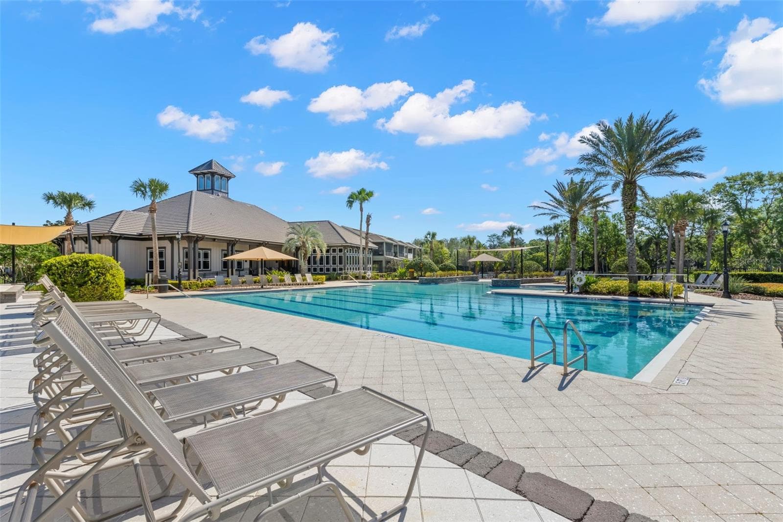 Pool at Lake House - 14743 CANOPY DR, TAMPA