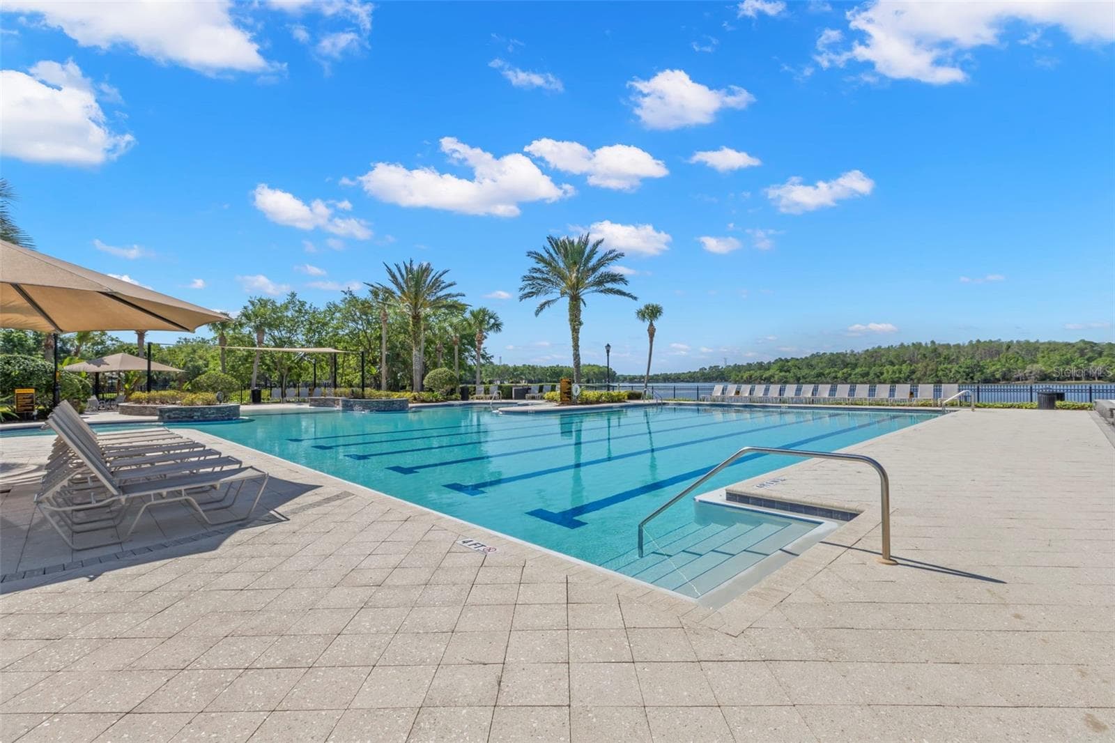 Pool at Lake House - 14743 CANOPY DR, TAMPA