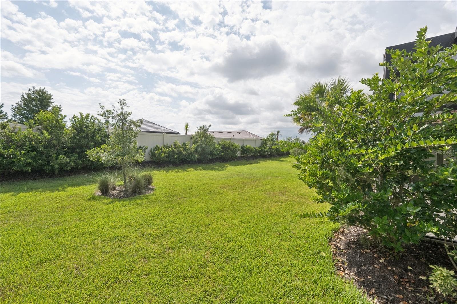 Back yard - 4344 CAIROLI CT, WESLEY CHAPEL