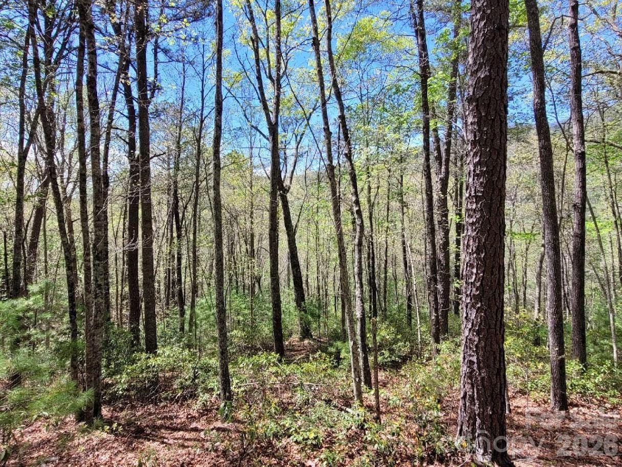 Lot at Lot 21 Little Fox Run, Marion