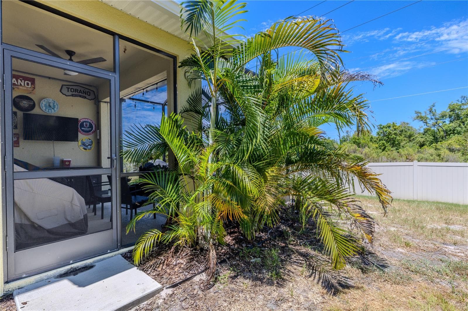 Tropical palms frame the screened lanai and add a lush sense of privacy, while the fenced yard opens to a broad green backdrop beyond. - 3029 JACOB CROSSING LN, HOLIDAY
