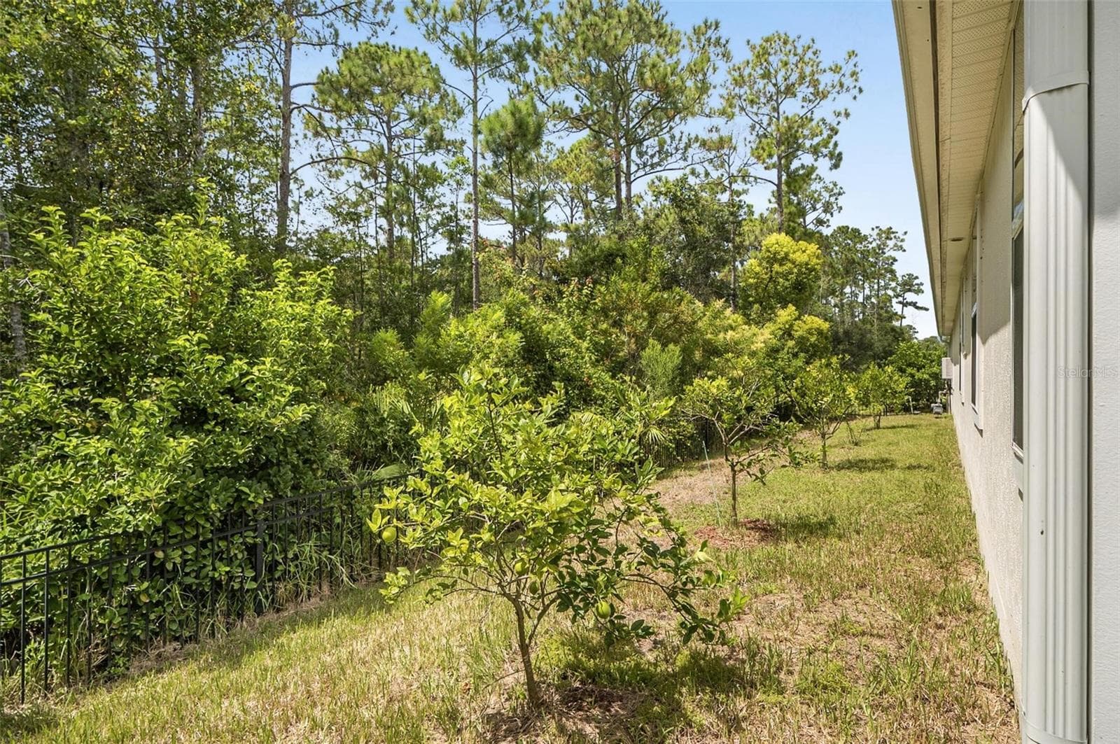 Rear View & Yard - 88 BIRDIE WAY, BUNNELL