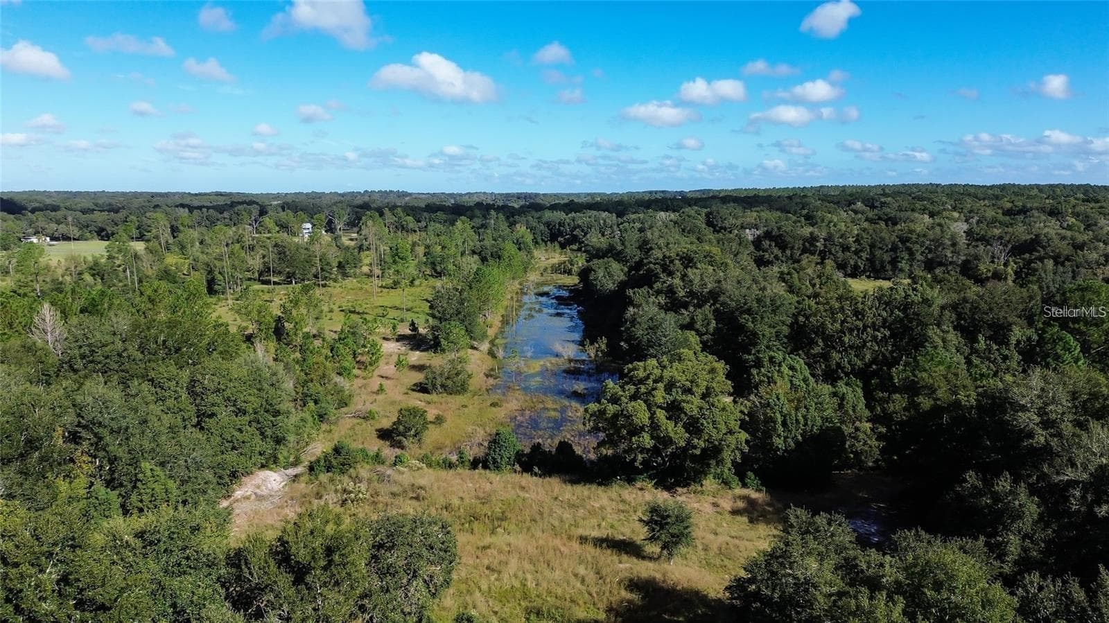 Land at TREE FROG LOT 6 LN, EUSTIS, photo 4 of 19