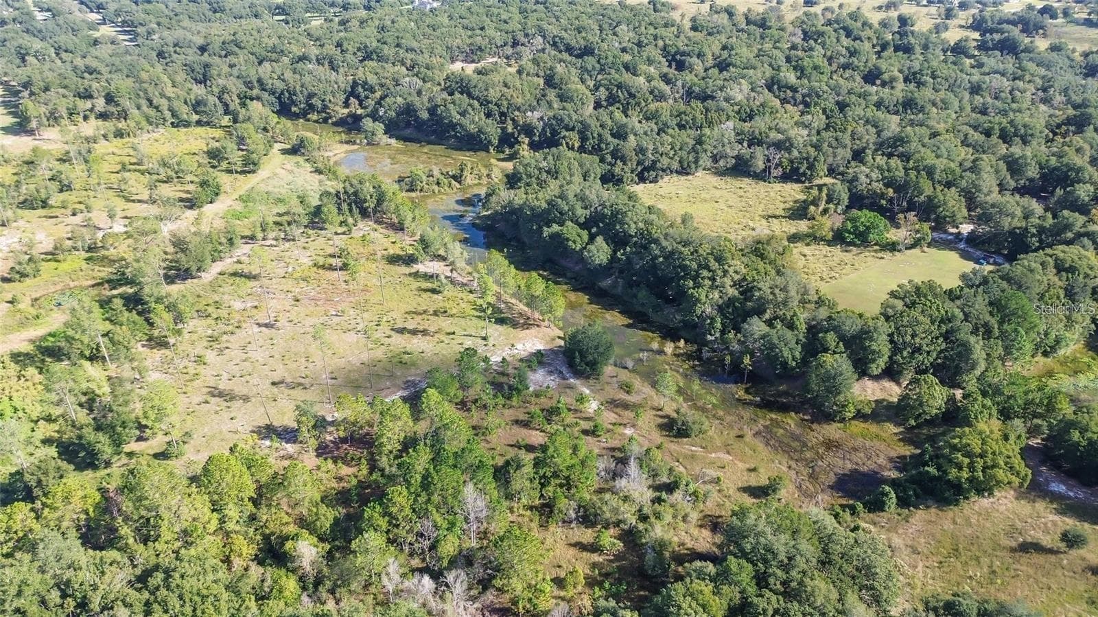 Land at TREE FROG LOT 6 LN, EUSTIS, photo 9 of 19